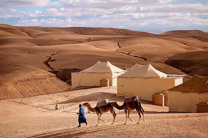 Camel Riding in Marrakech (1)