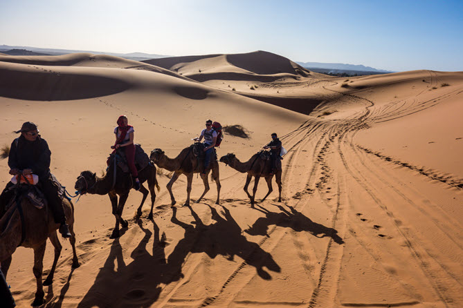 Camel Riding in Marrakech (3)
