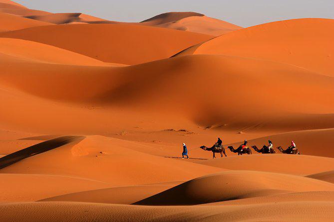 Merzouga Desert (3)