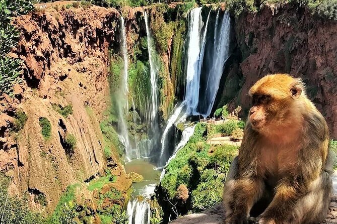 Ouzoud Falls (3)